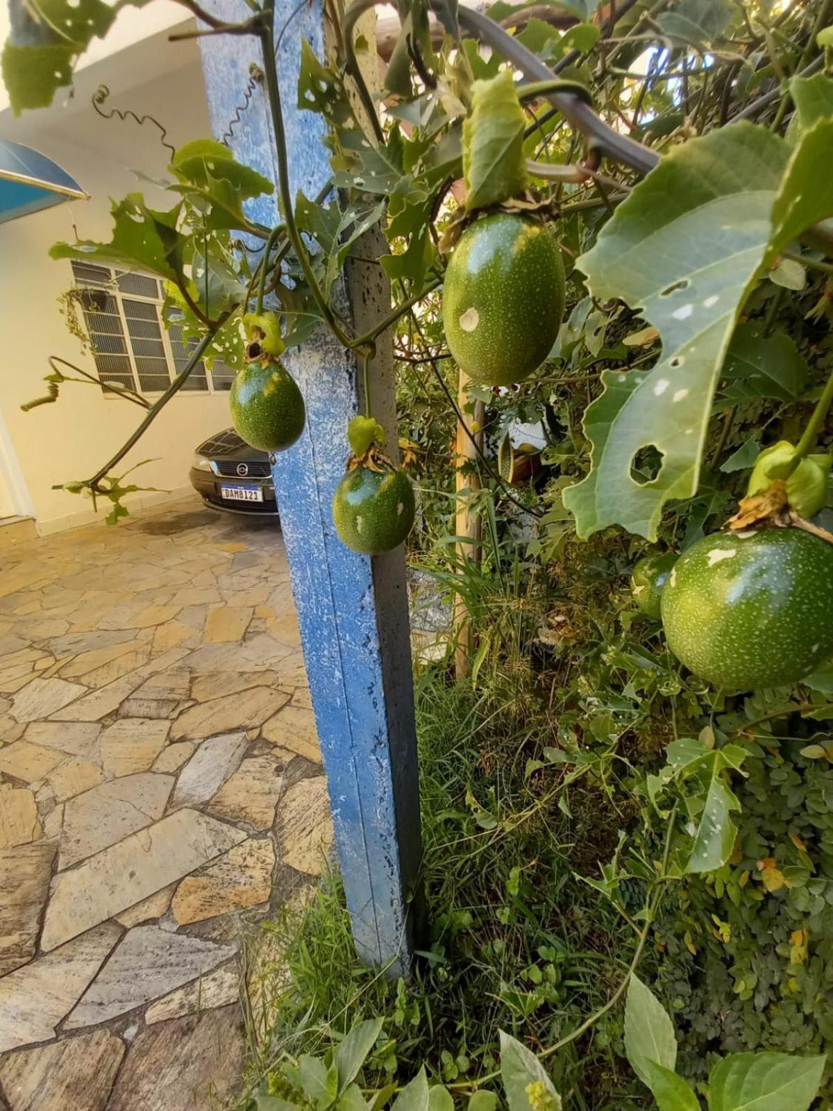 Recanto Azul Aparecida  Exterior foto